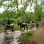 Paseo a Caballo